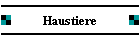 Haustiere
