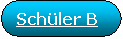 Flussdiagramm: Grenzstelle: Schler B